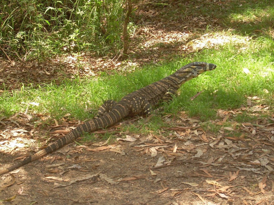 Ellenborough Falls Kiosk-Elands必去景点
