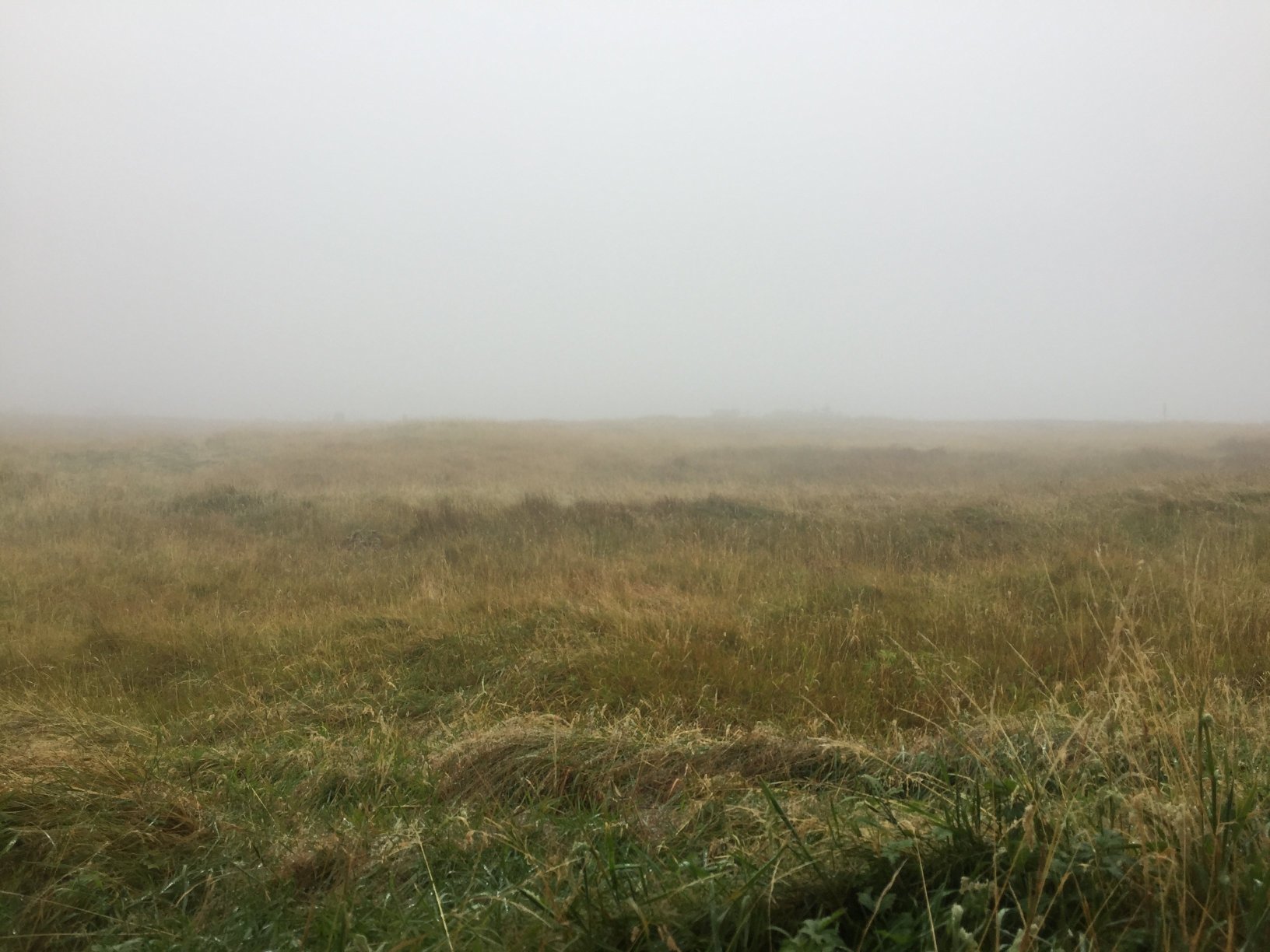 佛洛雅酒店-酒店景观