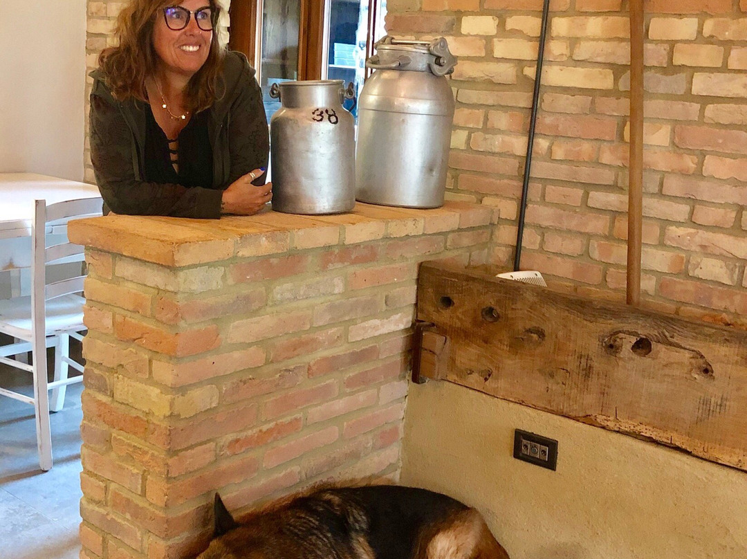 Agriturismo Alba Del Borgo主图