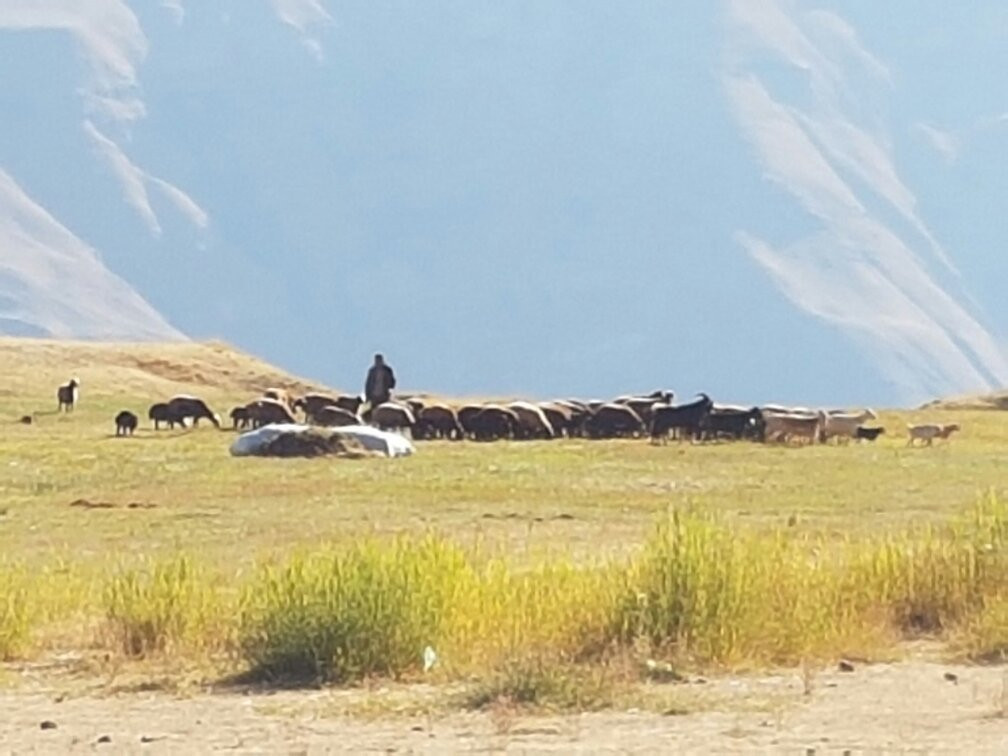 Alamut Valley景点图片