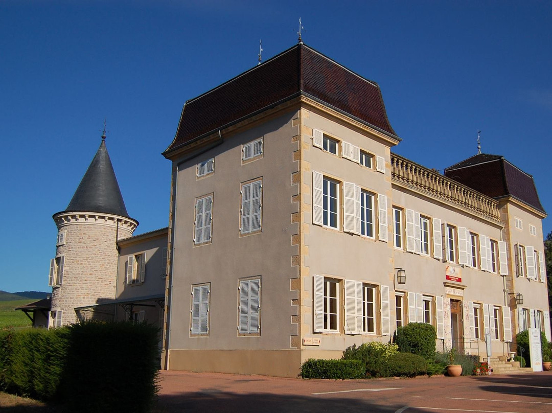 Cave de Julienas (Julienas Chaintre Vignerons Associes)-Julienas必去景点