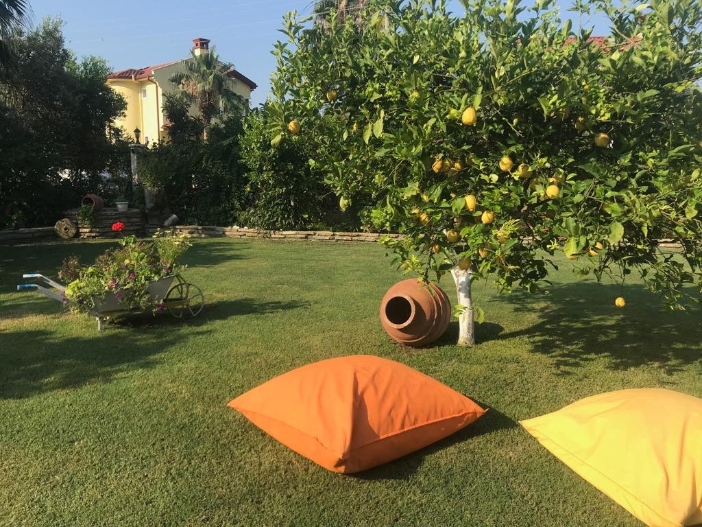 Göcek Arion Hotel主图