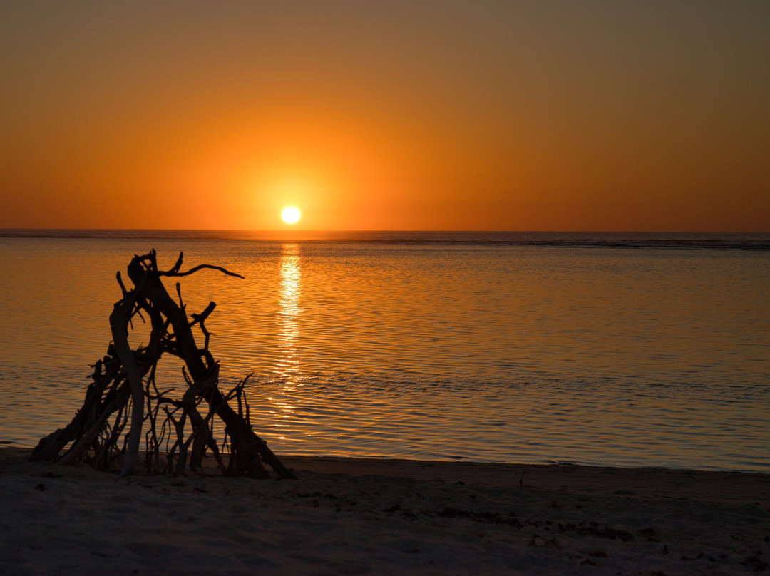萨尔萨利斯尼加卢礁酒店主图