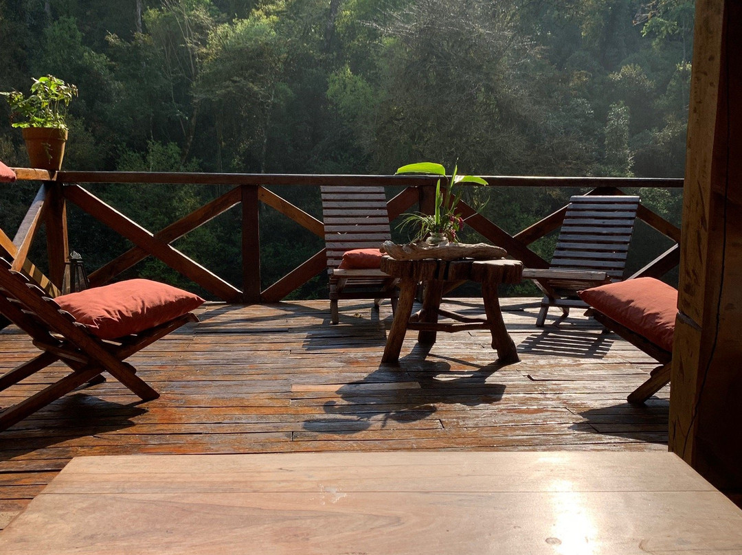 Margay - Reserva Natural & Lodge de Selva主图