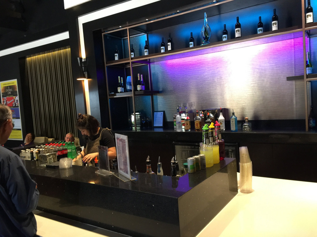 Welk Resorts Theatre景点图片