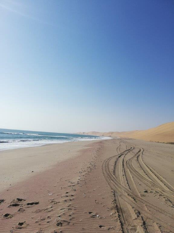 MC Tours-华维斯湾必去景点