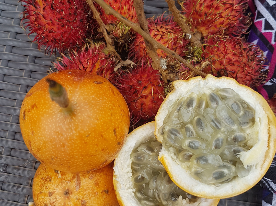 Mullumbimby Farmers Market景点图片