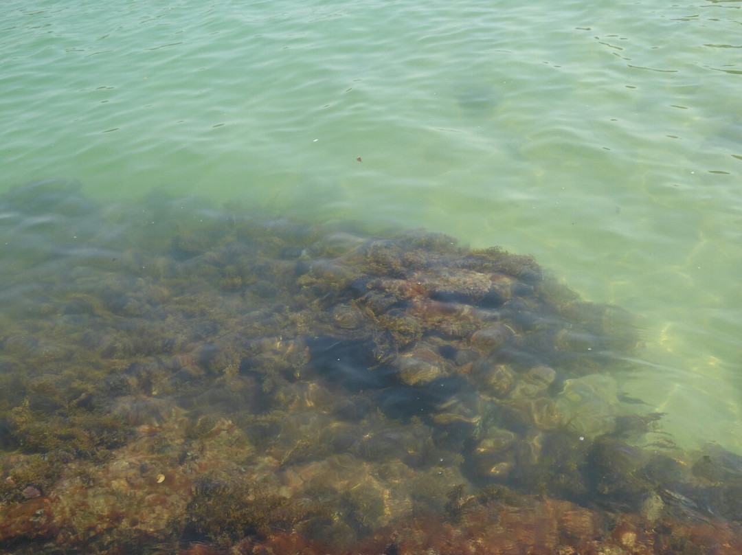 Ilha da Cotia Beach-帕拉地必去景点