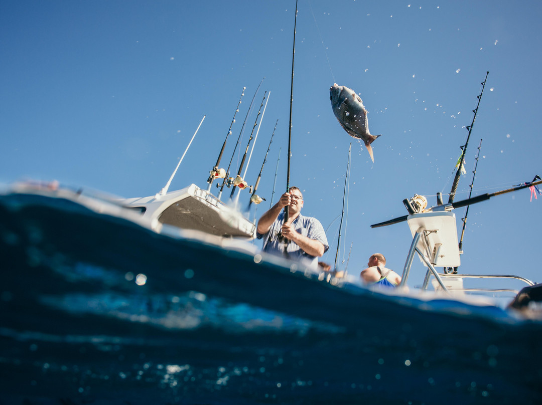 Captuna Fishing Charter & Tours-Cape Point必去景点