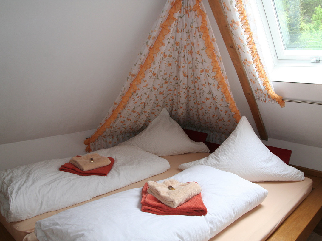 Gastehaus Schwarzenauer Mühle主图