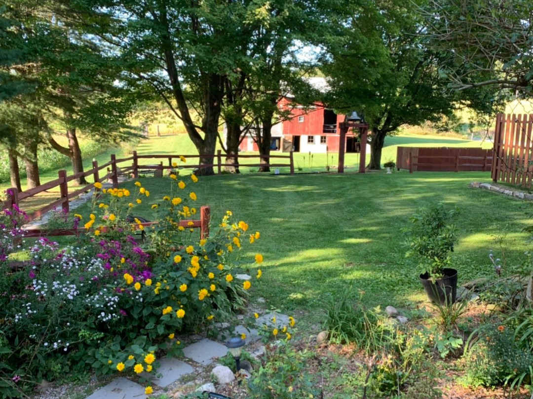 T & R Inn Between the Lakes主图