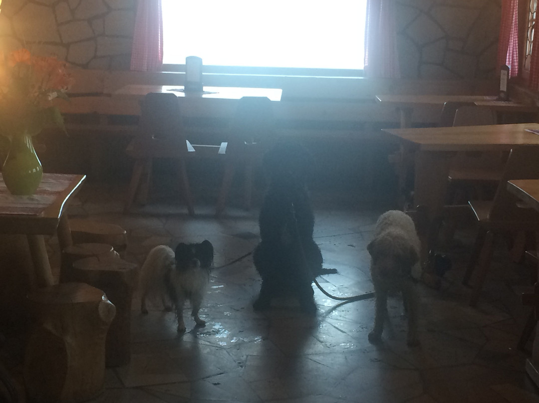 Berghotel Steingletscher主图