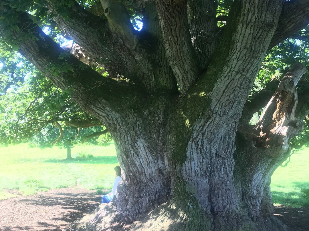 The Old Storehouse主图