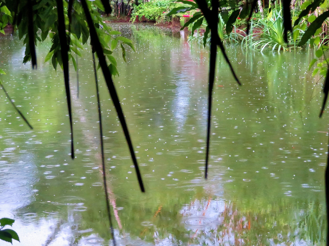 Marari Beach - CGH Earth主图