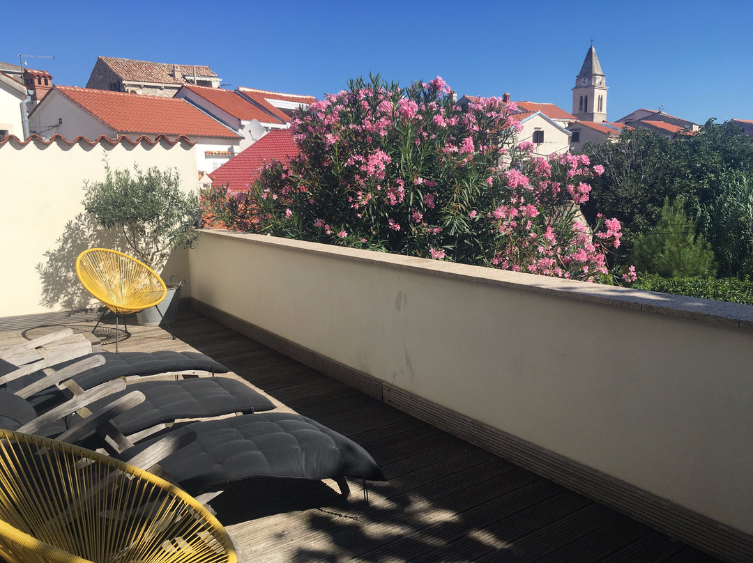 Susak Sansego主图