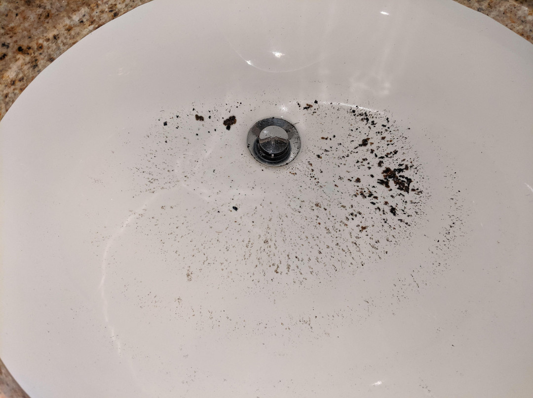 Residence Inn by Marriott Whitby主图