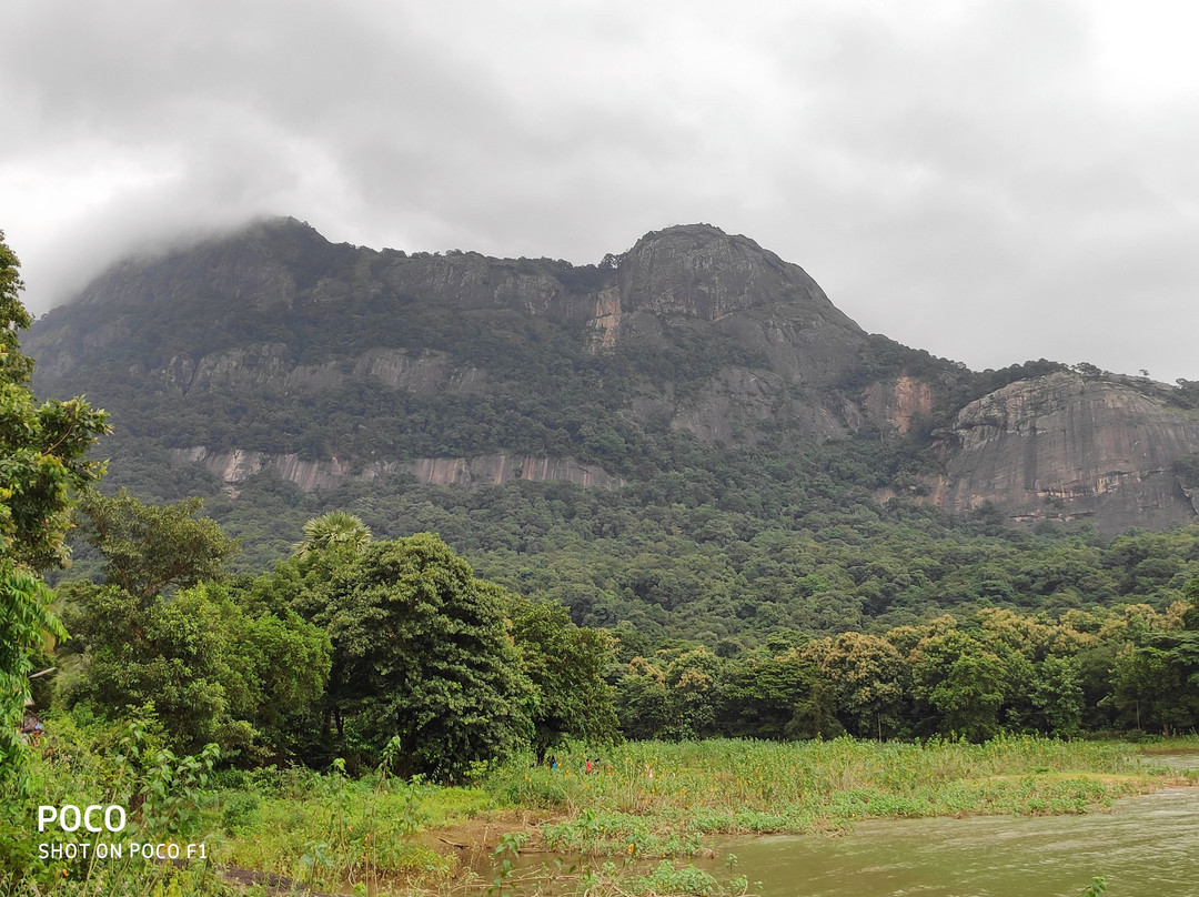Kava-Palakkad必去景点