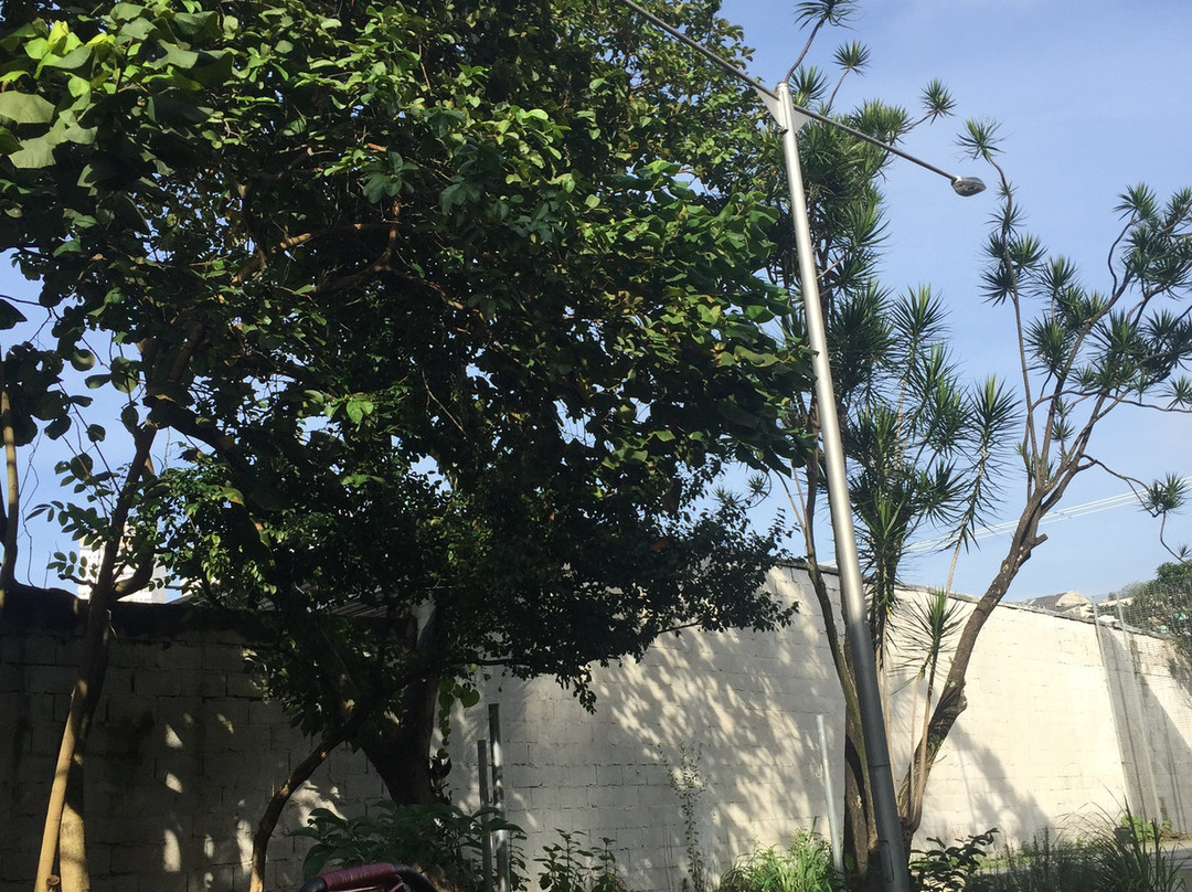 Bilbioteca Pública Monteiro Lobato-圣贝尔纳多-杜坎普必去景点