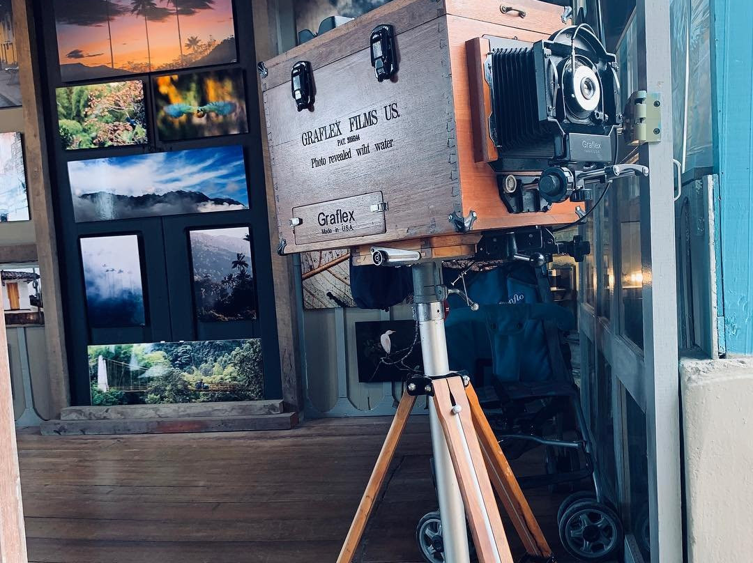 Fotografia Palma y Niebla-萨伦托必去景点