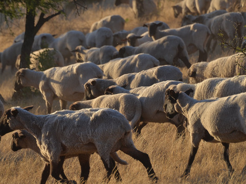 Valle del Arriero-Chimbarongo必去景点