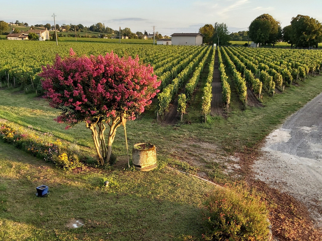 Chateau Franc Grace-Dieu主图