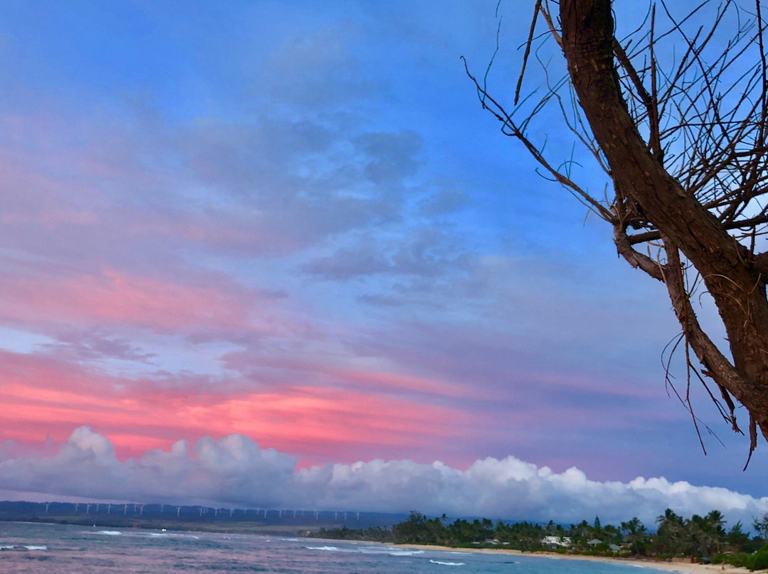 Polo Beach-瓦亚禄必去景点