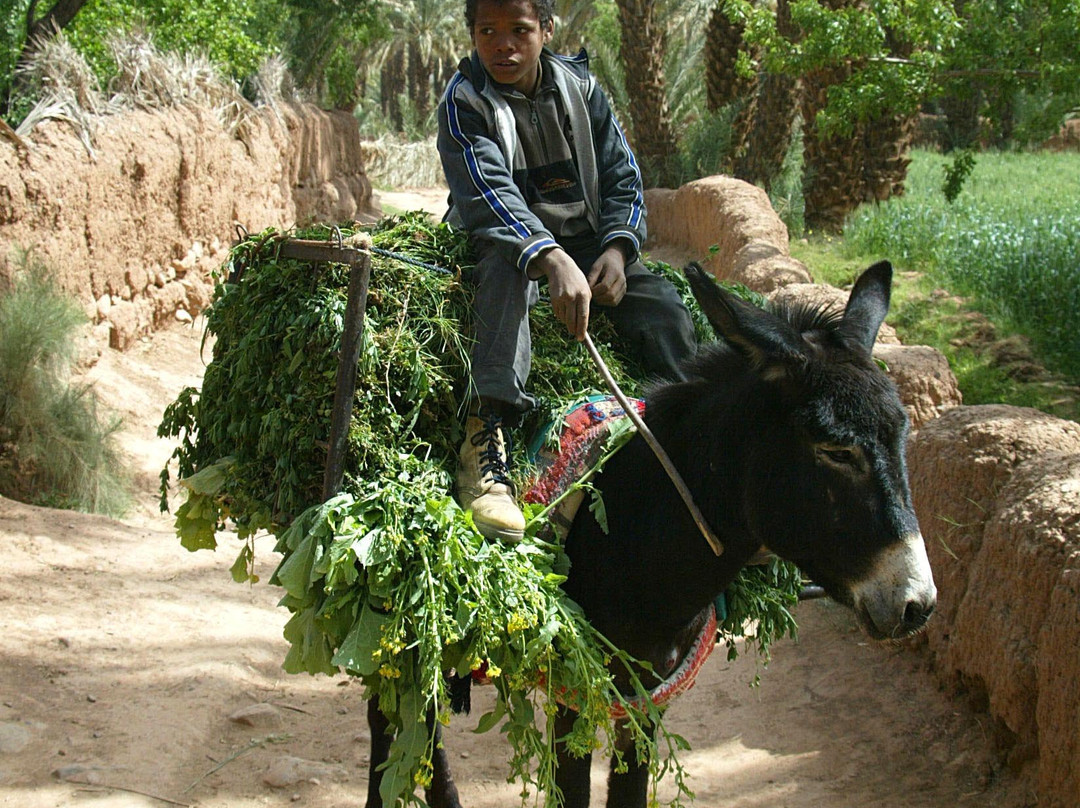 Marrakech Quad Bike-Ait Azzi必去景点