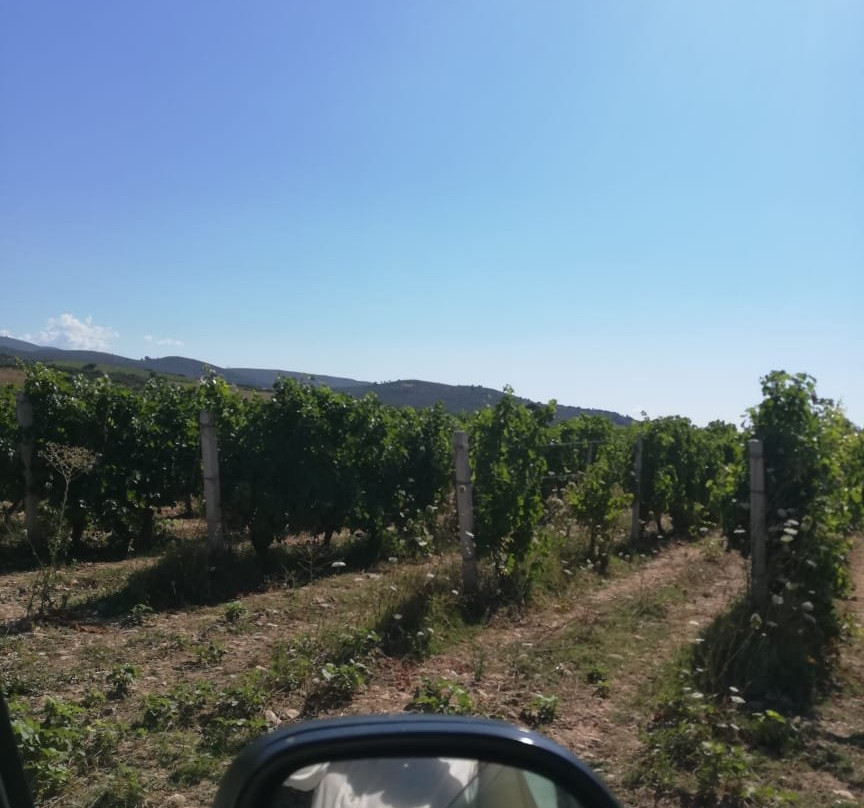 Wine Museum Costa Lazaridi-Kapandriti必去景点