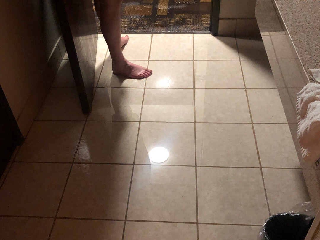 Days Inn by Wyndham Lamar主图