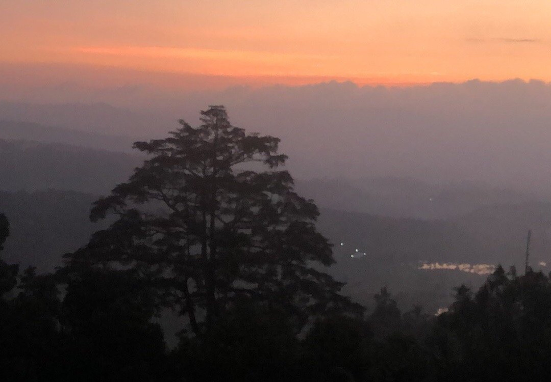 Aditya Homestay主图