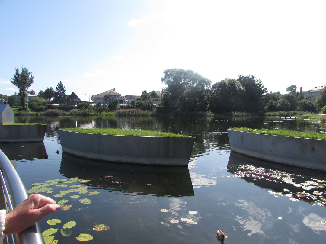 Moletai Sculpture Park景点图片