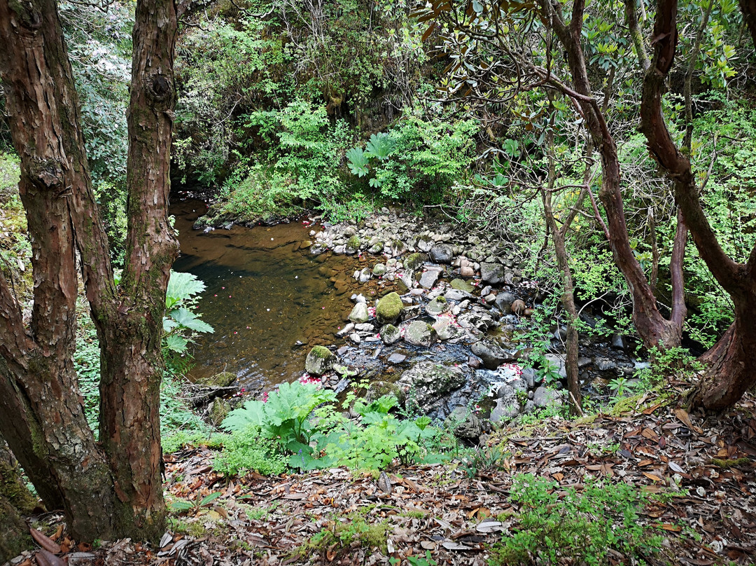 Crarae Garden-因弗雷里必去景点
