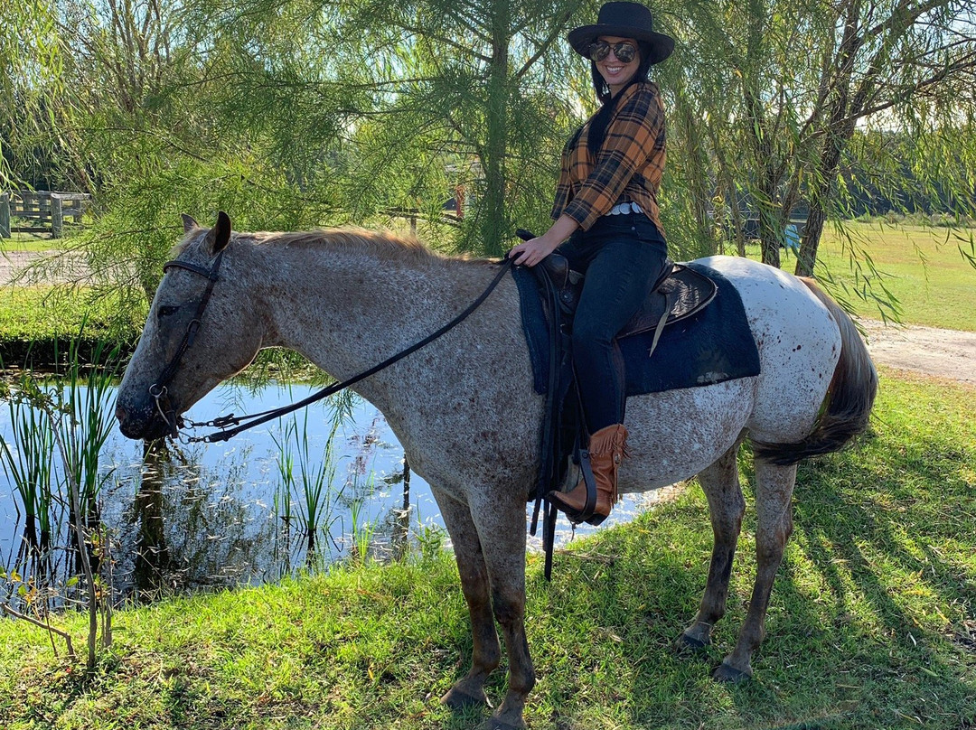 Desperado Horse Farm-Rocky Point必去景点