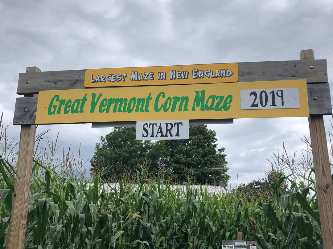 Great Vermont Corn Maze景点图片