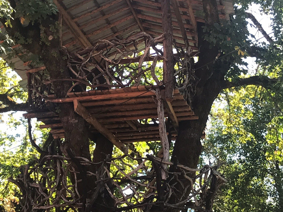 Its a Burl-Kerby必去景点