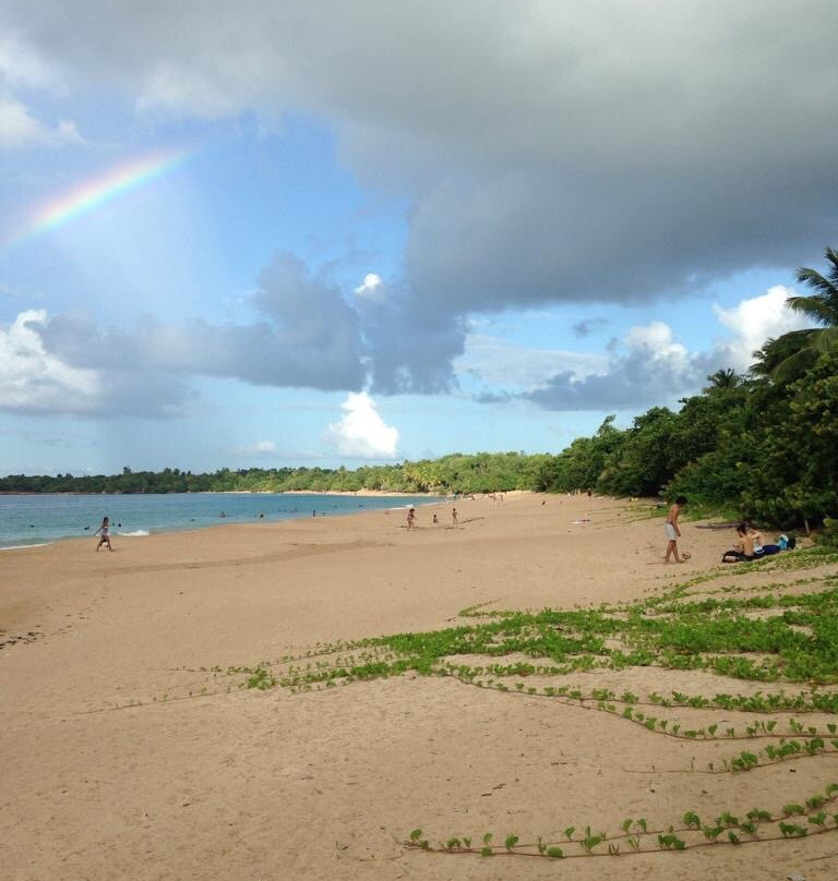 Plage Cluny-Sainte Rose必去景点