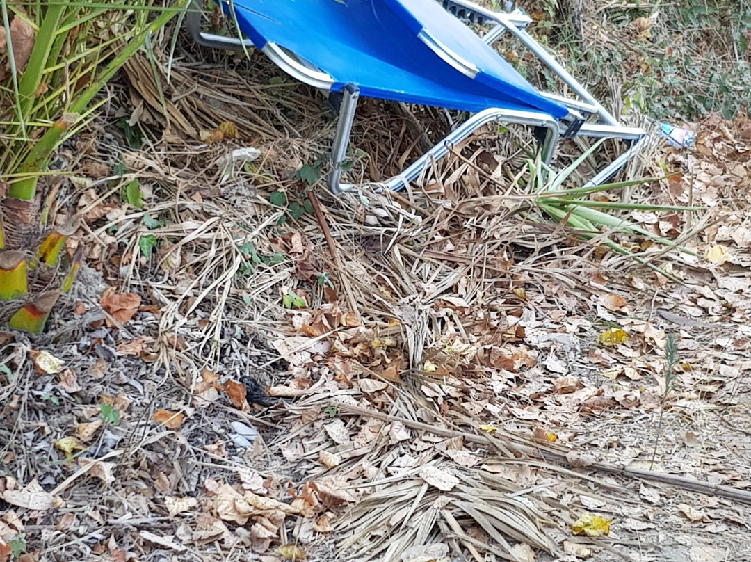 Astrakeri Beach-Astrakeri必去景点