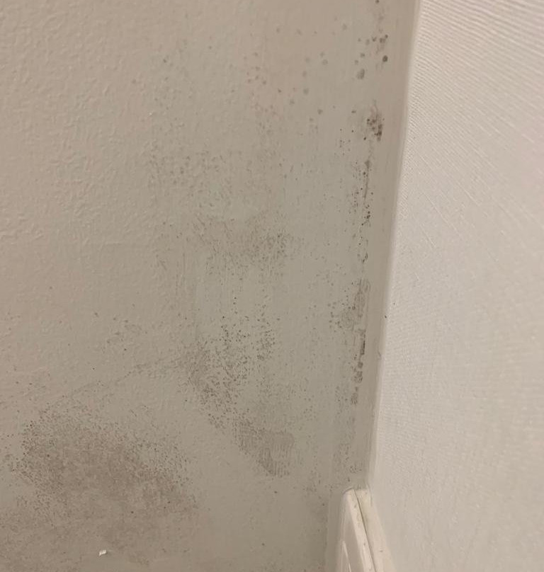 哈利法克斯福朋喜来登酒店主图