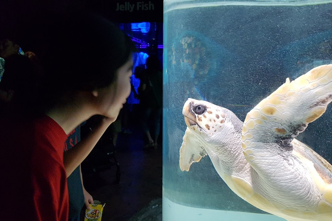 Aqua Planet Yeosu-丽水市必去景点