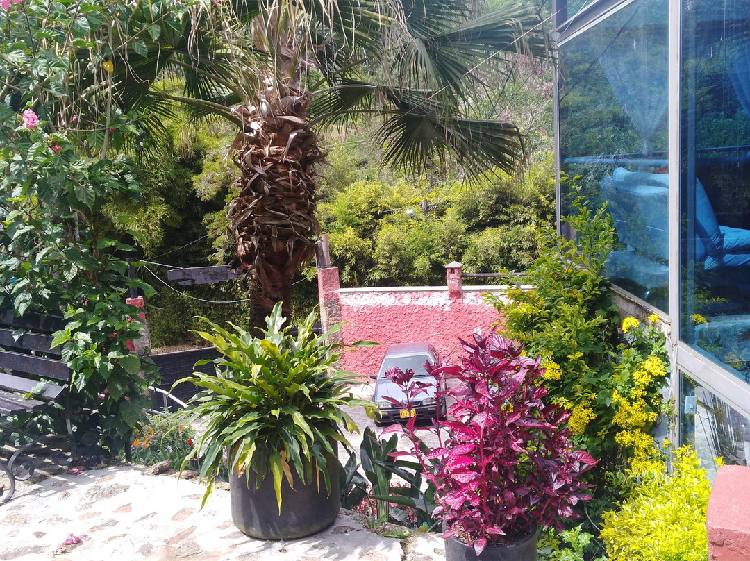 Finca Hotel Santo Tomas主图