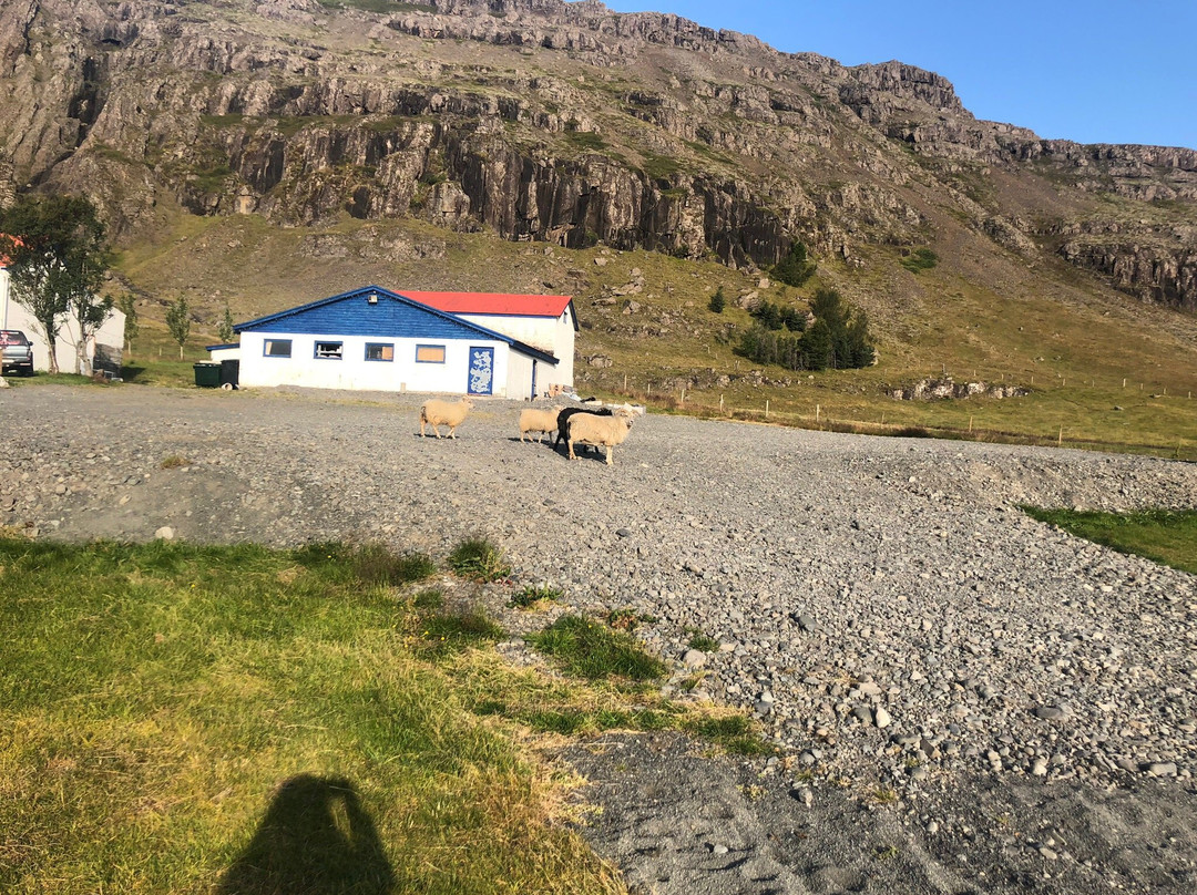 思佳拉菲尔宾馆主图