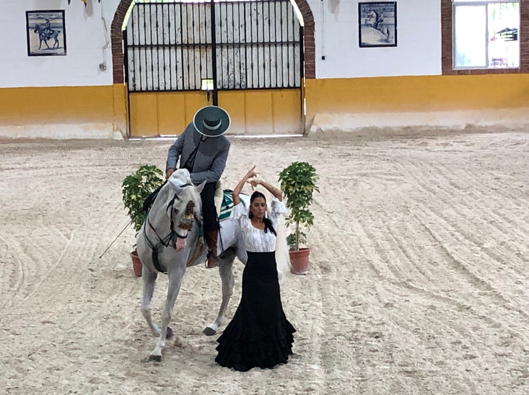 Ritmo a Caballo & Andalusian Night-托雷莫里诺斯必去景点