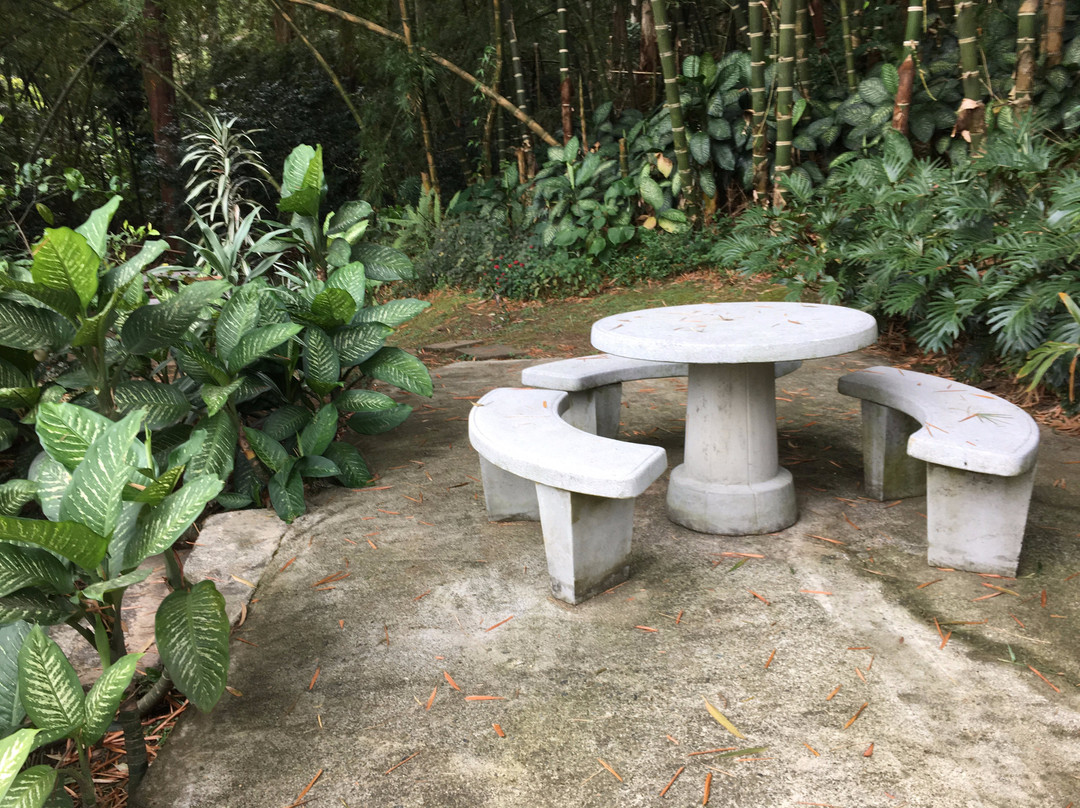 Nh Collection Medellín Royal主图