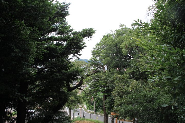 Nakazato no Fujizuka景点图片