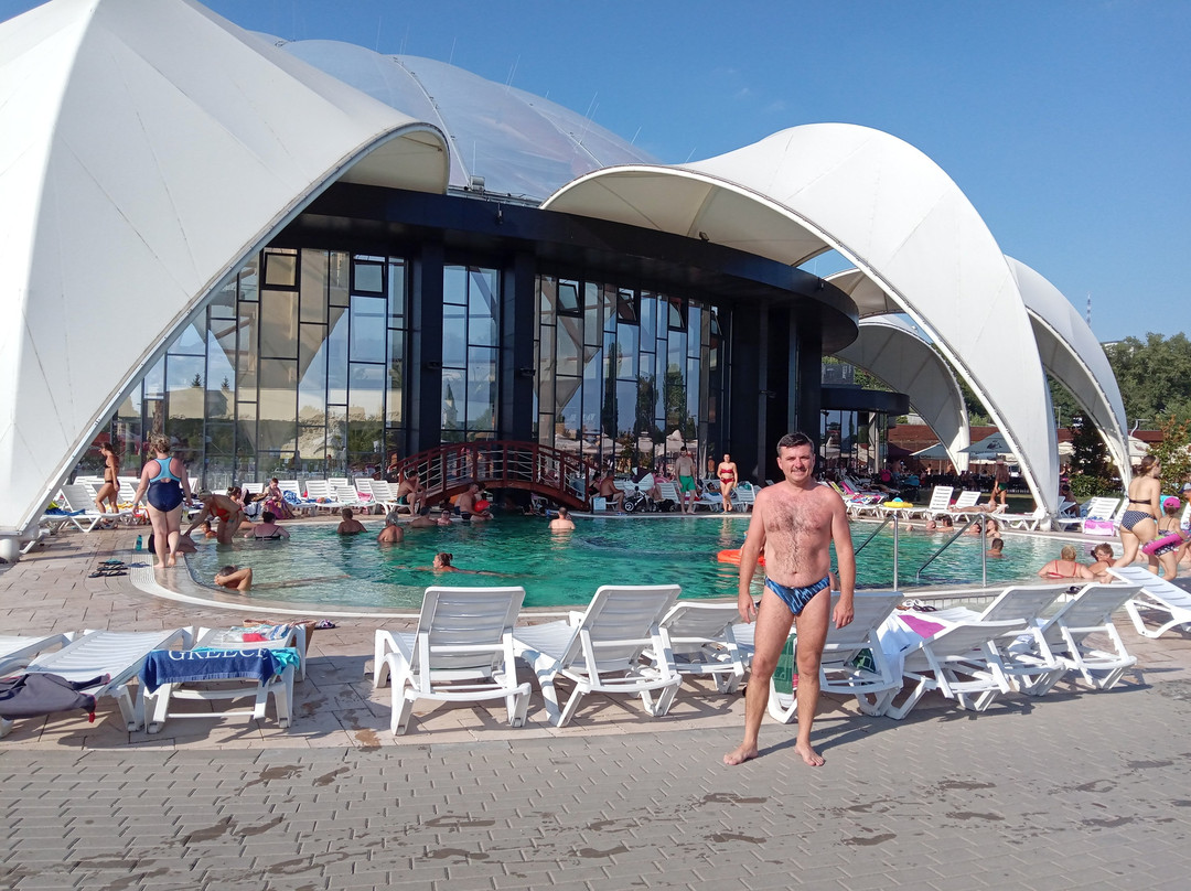 Aquapark Nymphaea Orade景点图片