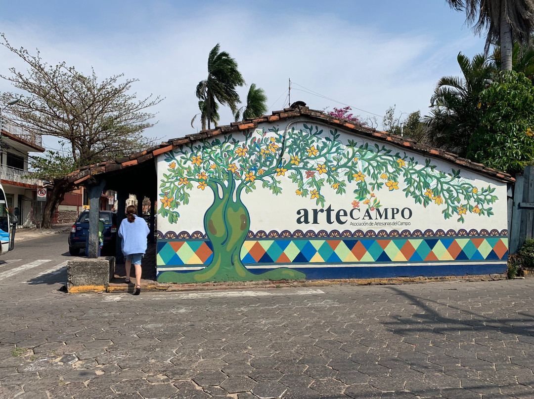 ArteCampo-圣克鲁斯省必去景点