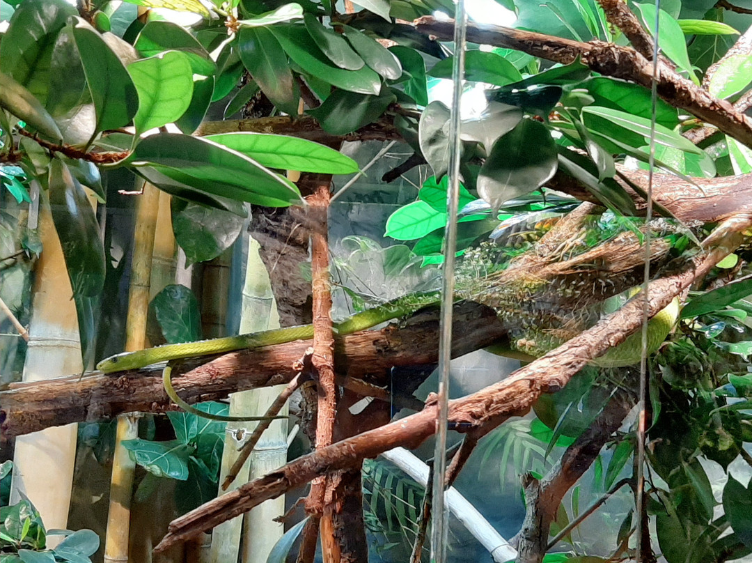 Tropicarium-Kolmarden必去景点