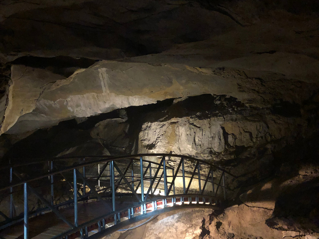 Appalachian Caverns Tours景点图片