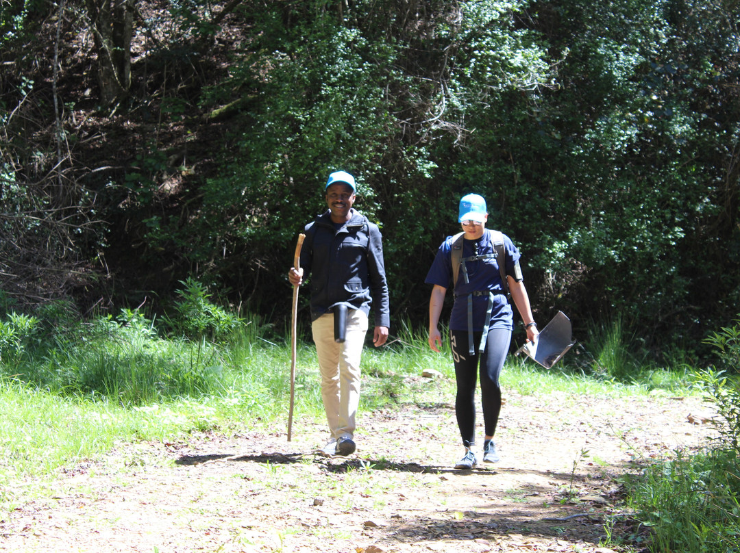 Ingwe Forest Adventures-普利登堡湾必去景点