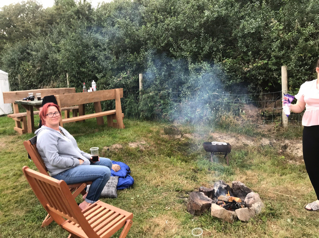 Alltycoed Campsite & Yurts